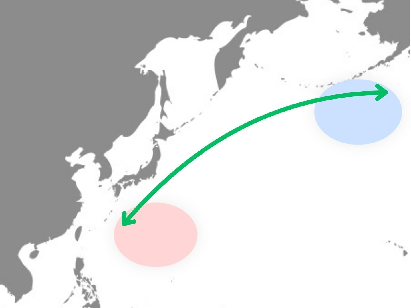 クジラ回遊図日本近海