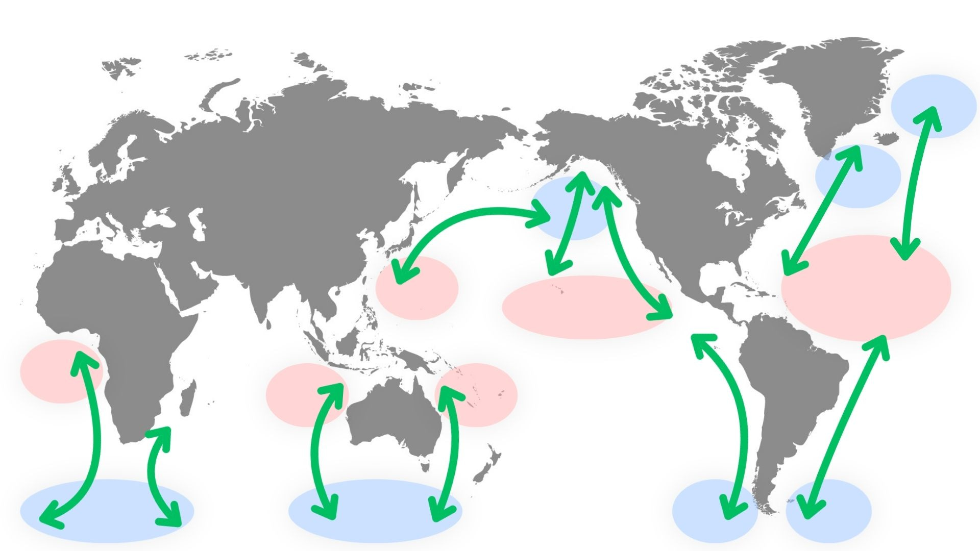 クジラ回遊図